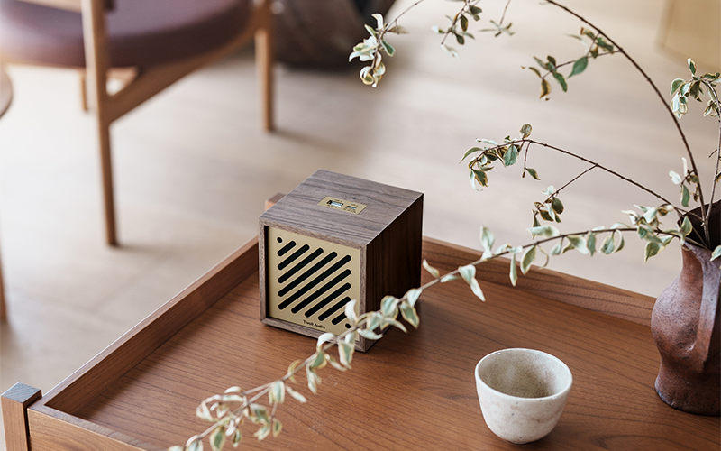 Boutique speaker Bluetooth